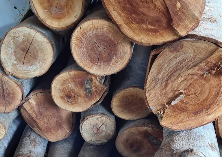 madeira nacional ou importada
